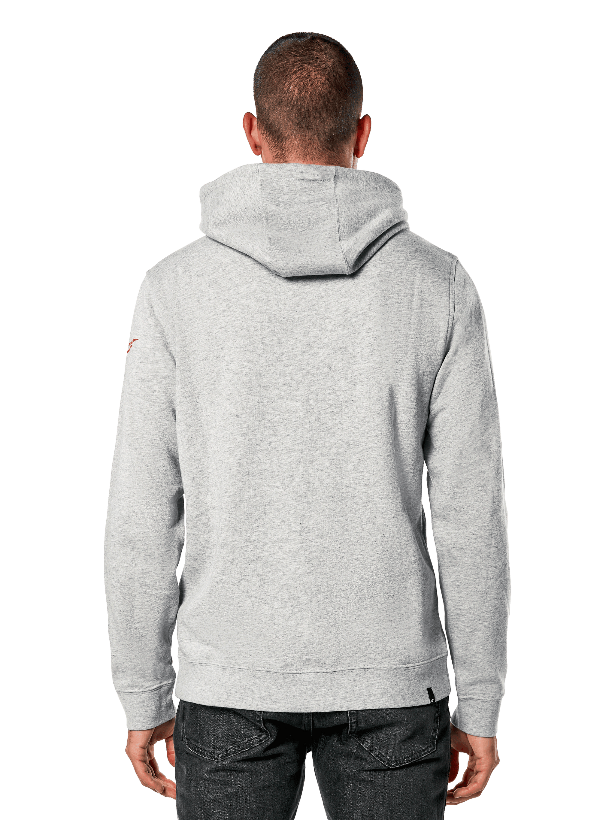 Sudadera Con Capucha Linear Wordmark V3