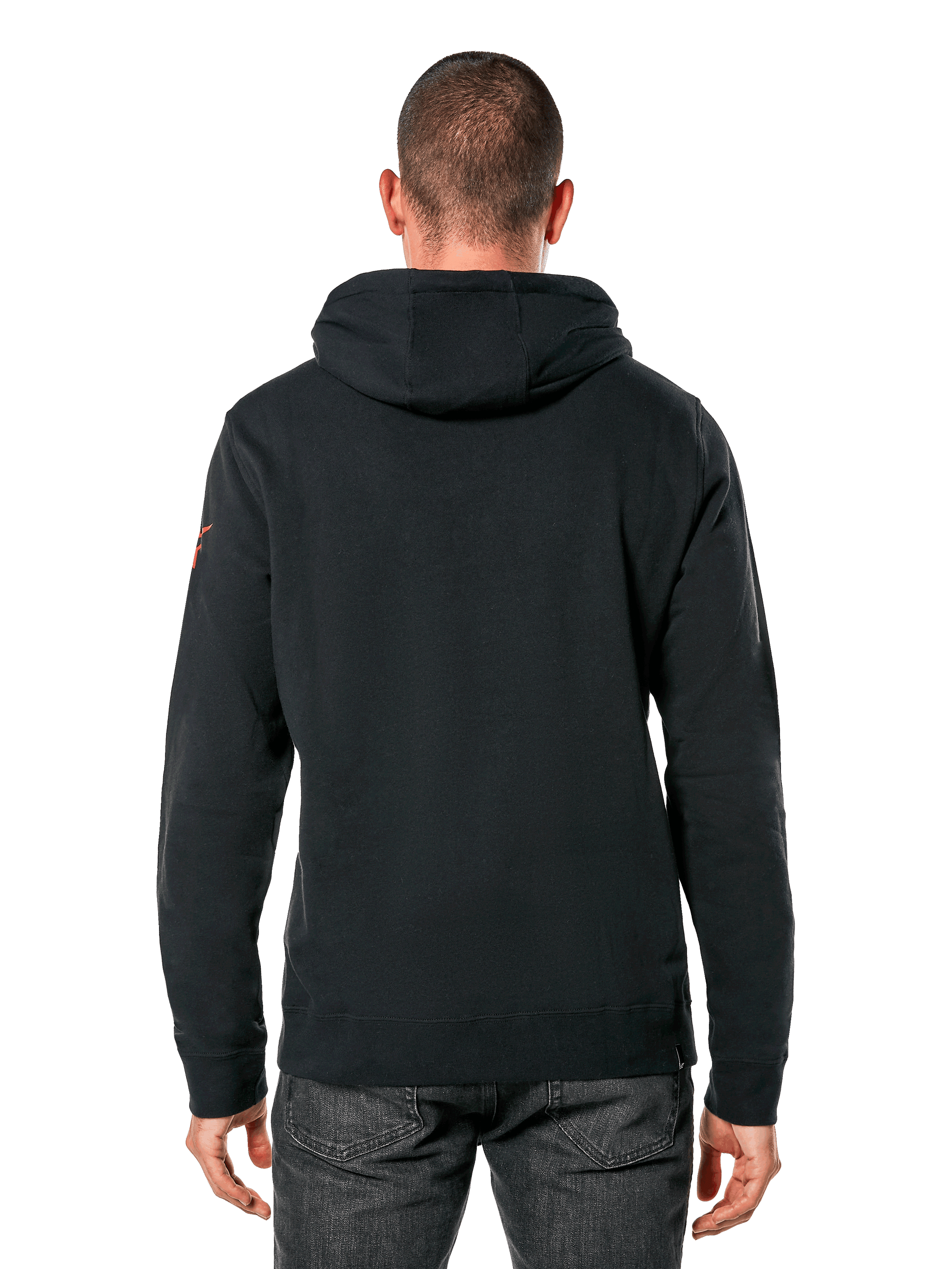 Sudadera Con Capucha Linear Wordmark V3