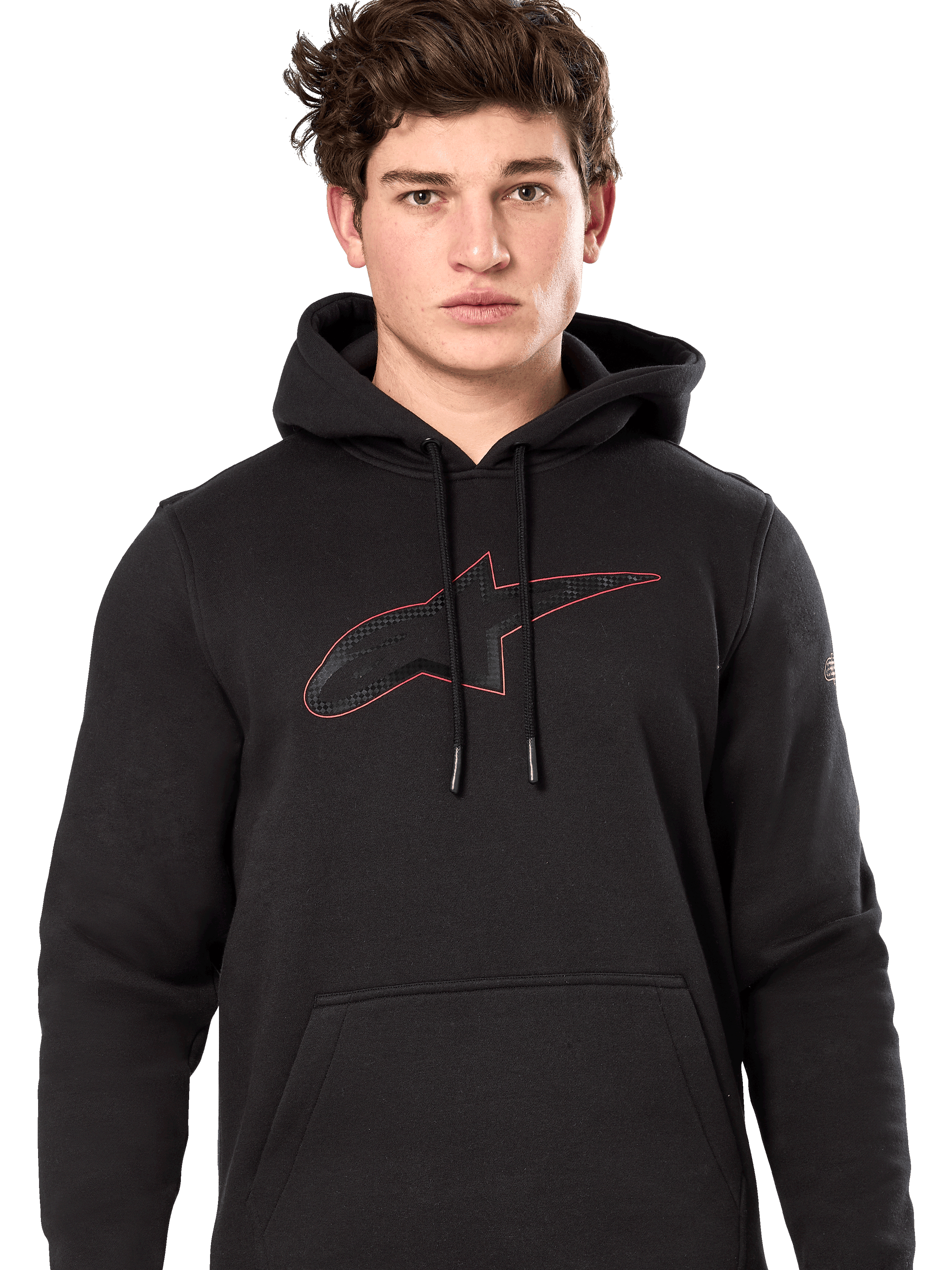Sudadera Con Capucha Insignia