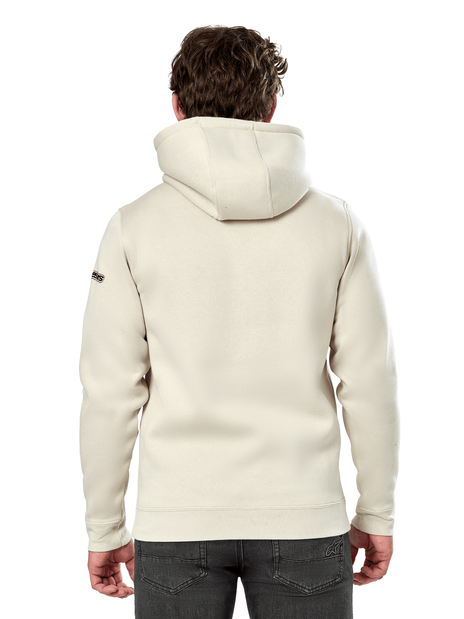 Sudadera Con Capucha Insignia