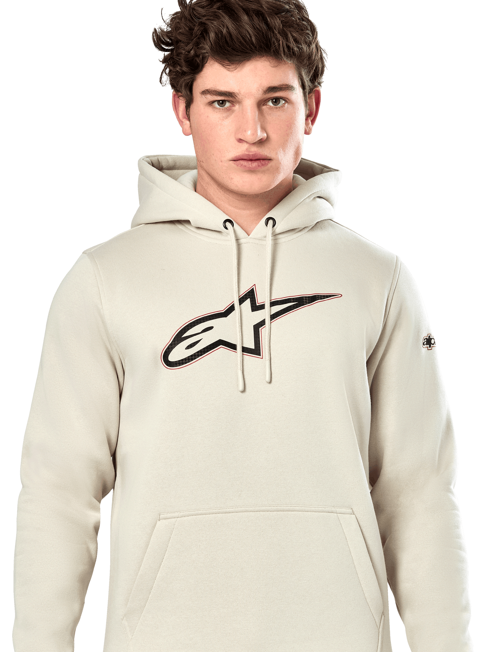 Sudadera Con Capucha Insignia