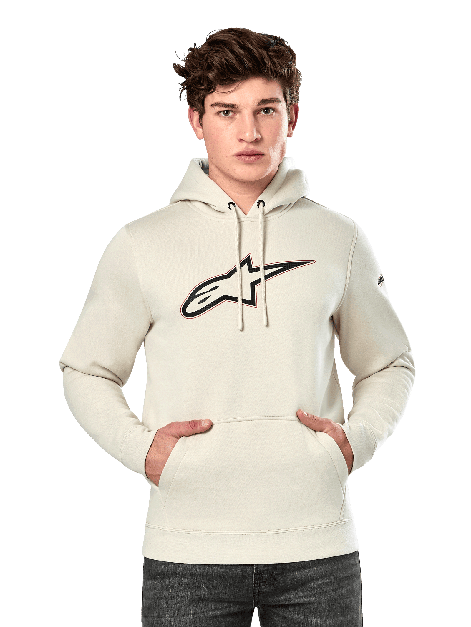 Sudadera Con Capucha Insignia