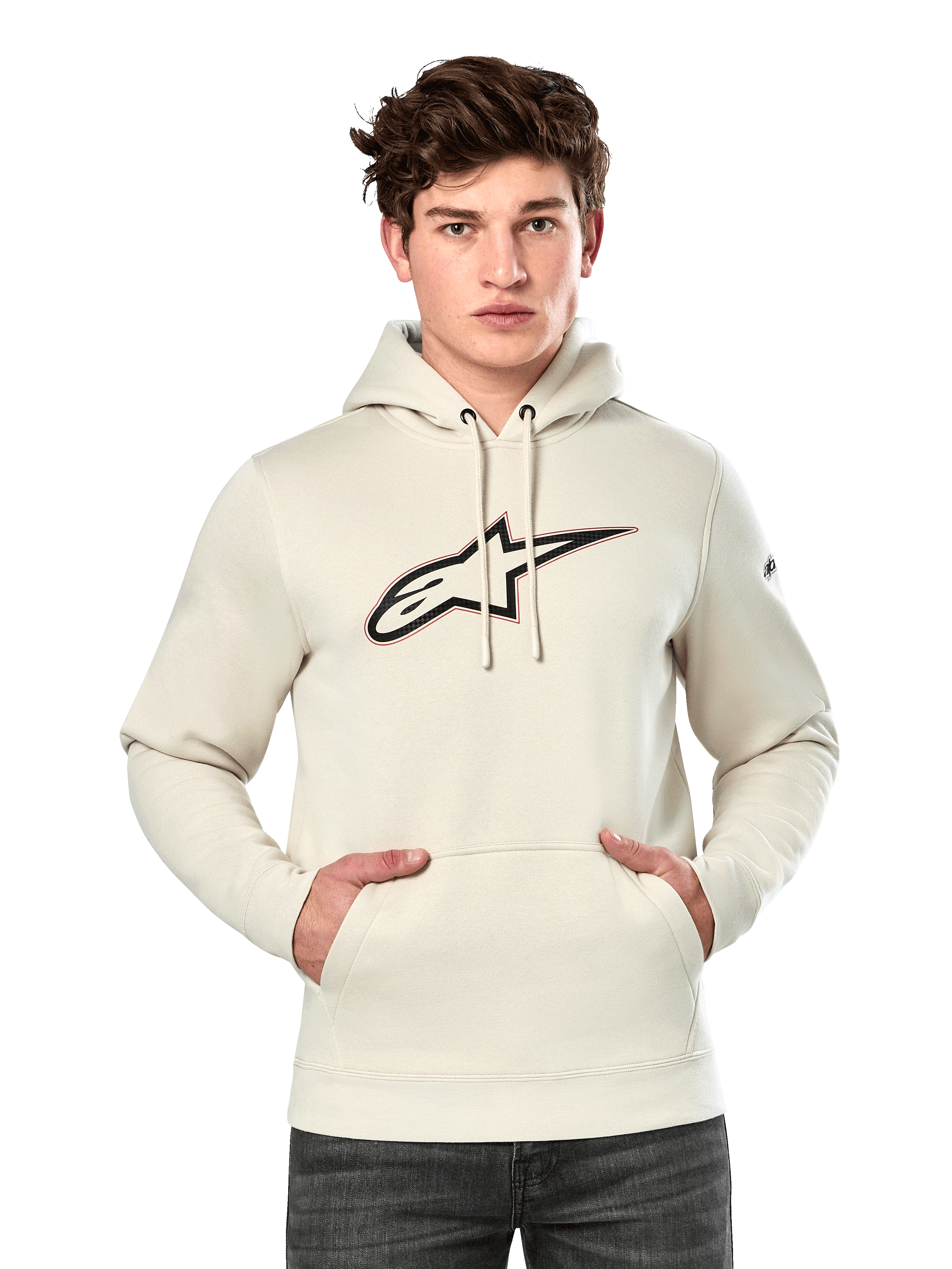 Sudadera Con Capucha Insignia