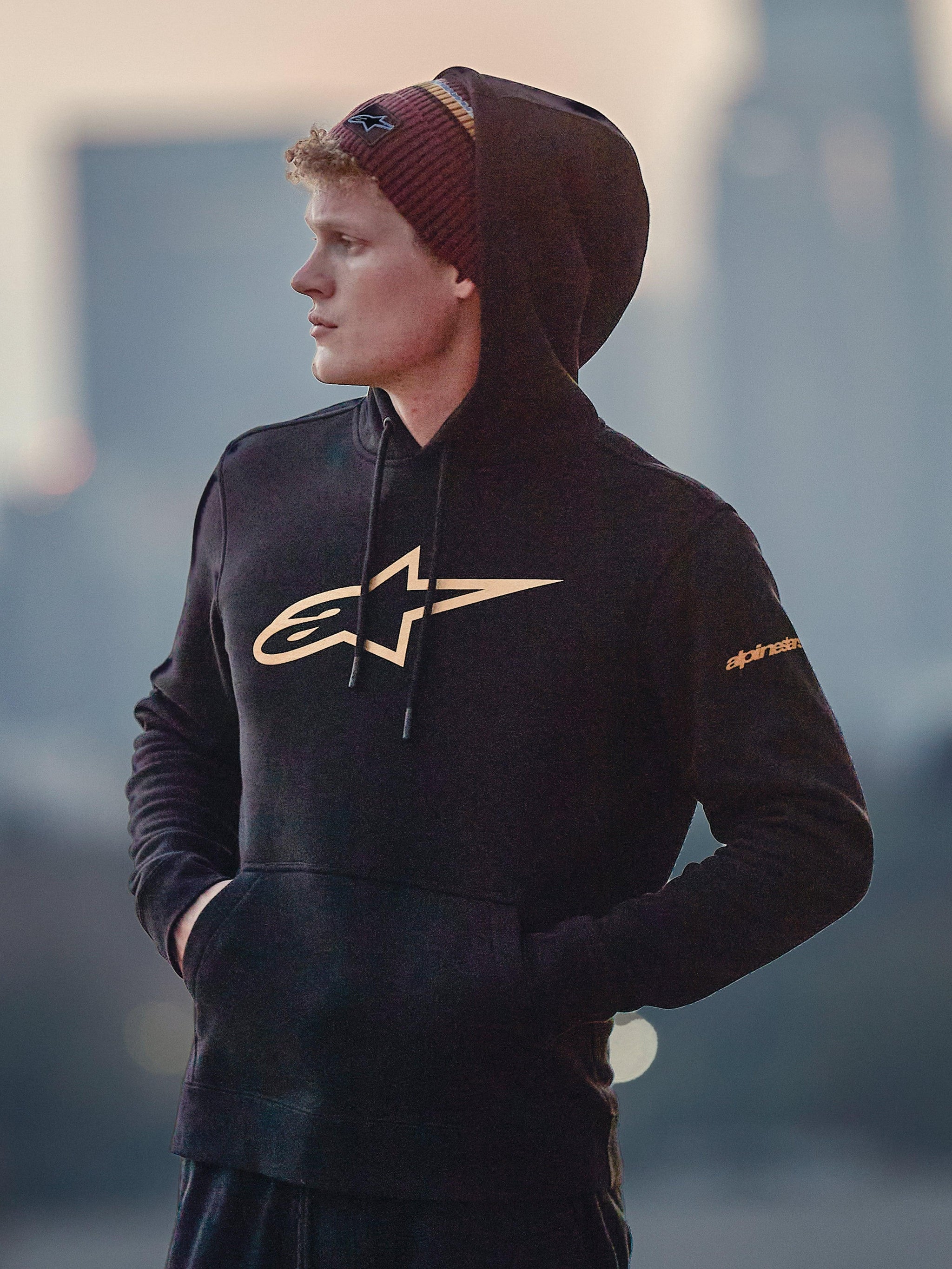 Sudadera Con Capucha Gilded